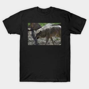 Wolf T-Shirt